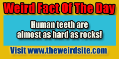 Weird fact of the Day.